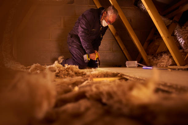 Best DIY Insulation Kits and Guidance in Hines, OR